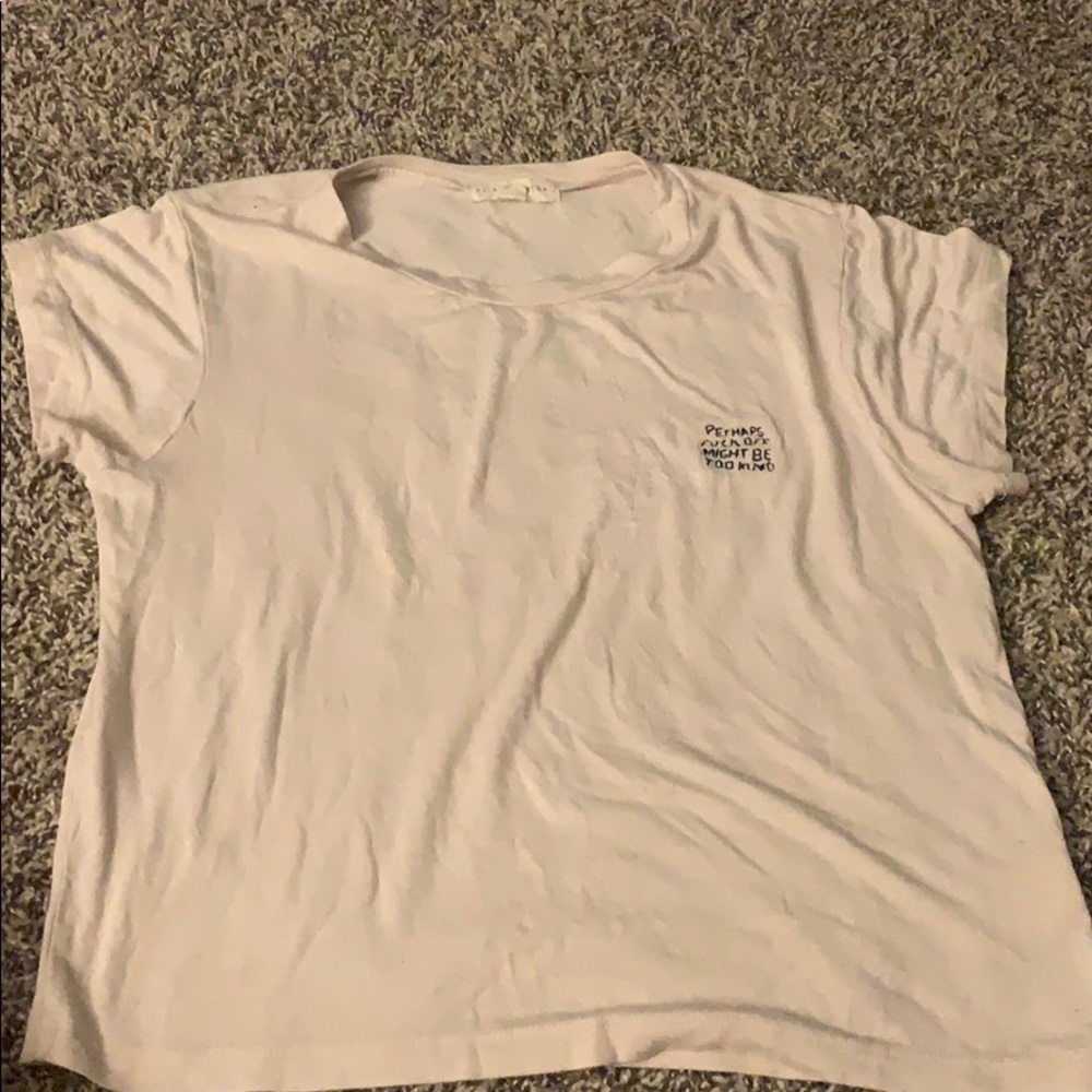 Vulgar funny crop top